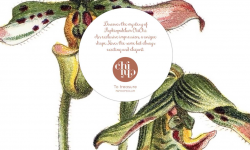 One page CMS Website gemaakt voor CHICHI-ORCHID